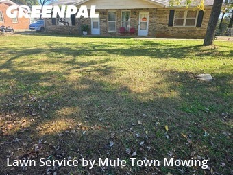 Lawn Mowingin Murfreesboro,37129,Grass Cut by Mule Town Mowing , work completed in Dec , 2025