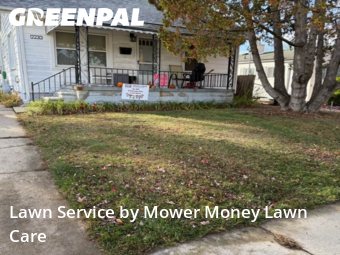 Grass Cut nearby Ferndale, MI, 