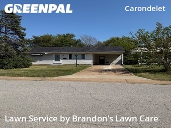 Grass Cut nearby St. Louis, MO, 