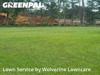 Grass Cut nearby Summerville, SC, 