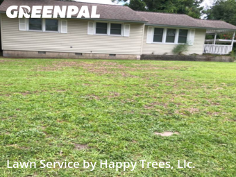 Grass Cut nearby Jacksonville, NC, 