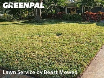 Lawn Care Service nearby Tampa, FL, 
