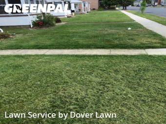 Lawn Mowing Service nearby Dover, DE, 