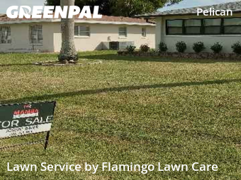 Yard Mowing nearby Cape Coral, FL, 
