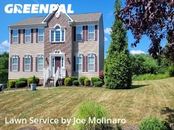 Lawn Mow nearby Mc Kees Rocks, PA, 