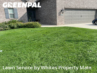 Lawn Mow nearby Tennessee, TN, 