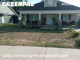 Grass Cut nearby Fayetteville, NC, 