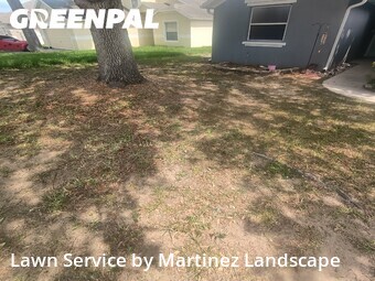 Lawn mowed in Tavares, 32778
