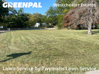 Lawn Mowing nearby Indianapolis, IN, 