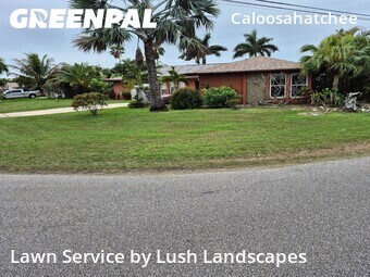 Grass Cut nearby Cape Coral, FL, 
