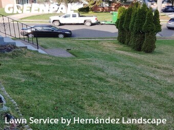Lawn Cut nearby Springfield Township, PA, 