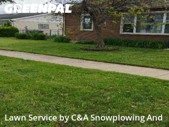 Grass Cutin Des Plaines,60016,Lawn Care by C&A Snowplowing And , work completed in Nov , 2025