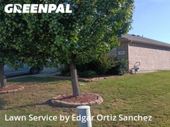 Mowing Services in Princeton, 75407, Grass Services by Edgar Ortiz Sanchez, work completed in Nov , 2025