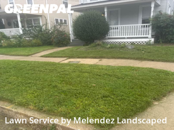 Yard Management in Towson, 21286, Backyard Mowing by Melendez Landscaped , work completed in Nov , 2025