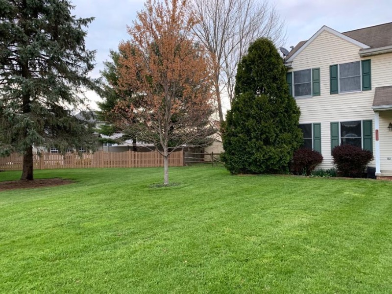 Paixao Service Lawn Care Services in Salt Lake City, UT