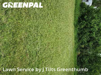 Lawn Service nearby Port Charlotte, FL, 