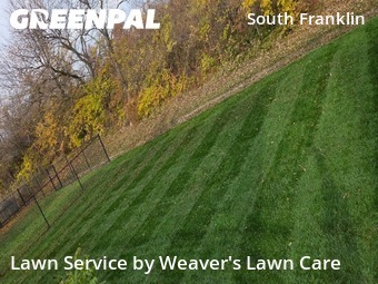 Lawn Management in Indianapolis, 46237, Yard Maintenance by Weaver's Lawn Care , work completed in Dec , 2025