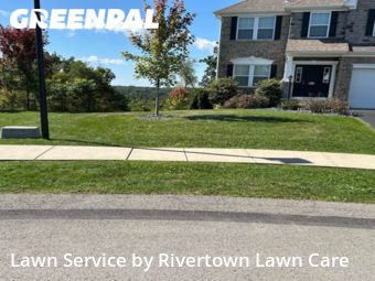 Yard Cutting nearby Beaver, PA, 