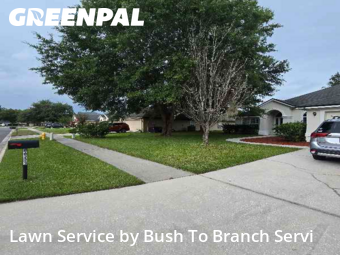 Yard Cuttingin Yulee,32097,Yard Cutting by Bush To Branch Servi, work completed in Dec , 2025