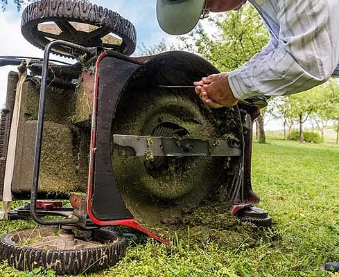Best Lawnmower Shop Photo 17