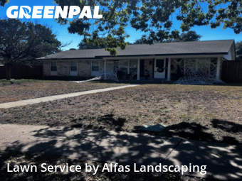 Lawn Maintenancein Richardson,75080,Lawn Cut by Alfas Landscaping, work completed in Dec , 2025