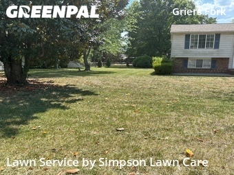 Yard Cutting nearby Charlotte, SC, 