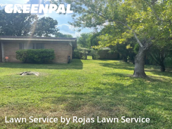 Lawn Care nearby San Juan, TX, 