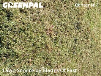 Lawn Care nearby Atlanta, GA, 