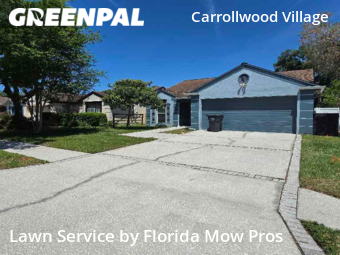 Lawn Mowing Service nearby Tampa, FL, 