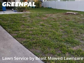 Yard Cutting nearby South Pasadena, FL, 