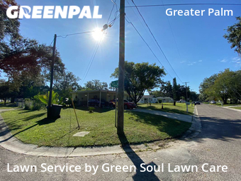 Lawn Maintenance nearby Tampa, FL, 