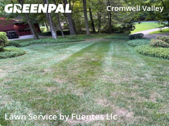 Lawn Cutting nearby Towson, MD, 
