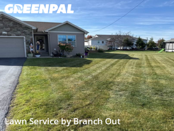 Yard Mowing nearby Blasdell, NY, 