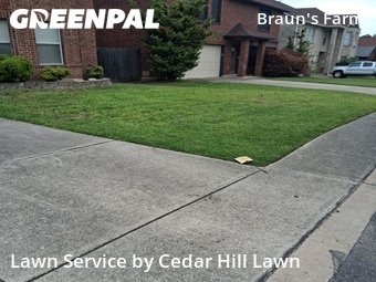 Grass Cutting nearby San Antonio, TX, 