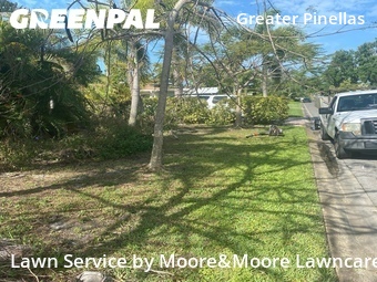 Lawn Care Service nearby St. Petersburg, FL, 