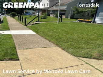 Yard Cutting nearby Philadelphia, PA, 