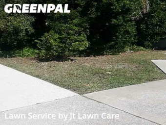 Yard Cutting nearby Palm Harbor, FL, 