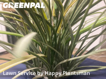 Grass Cut nearby Dayton, OH, 