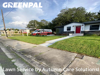 Lawn Cutting nearby Tampa, FL, 