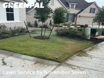 Lawn Mow nearby Georgetown, TX, 