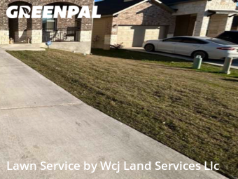 Lawn Mowing nearby Bulverde, TX, 