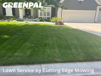 Yard Cutting nearby Olathe, MO, 