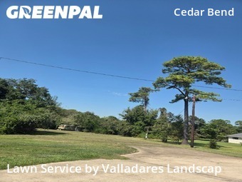 Lawn Servicein Baytown,77521,Lawn Maintenance by Valladares Landscap, work completed in Feb , 2026