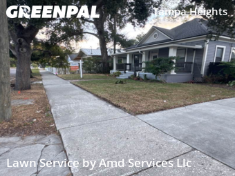 Grass Cut nearby Tampa, FL, 