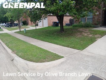 Lawn Cutin Roanoke,76262,Lawn Service by Olive Branch Lawn, work completed in Jun , 2026