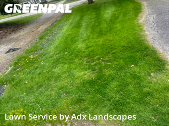 Lawn Mow nearby Garfield Heights, OH, 