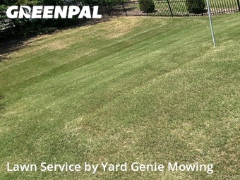 Yard Cutting nearby Charlotte, NC, 