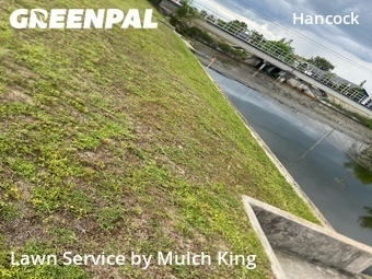 Lawn Cut nearby Cape Coral, FL, 