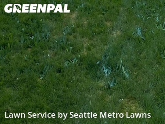 Lawn Mowing Servicein Arlington,98223,Lawn Cutting by Seattle Metro Lawns, work completed in Jun , 2026
