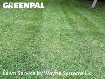 Grass Cutting nearby Jefferson City, MO, 